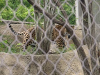 20100206 530.JPG